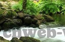 电视足球比分显示-电视足球比分显示，科技与激情的完美融合