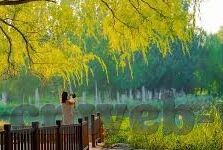 星空体育官网登录网址-星空体育，解锁数字化时代的体育盛宴